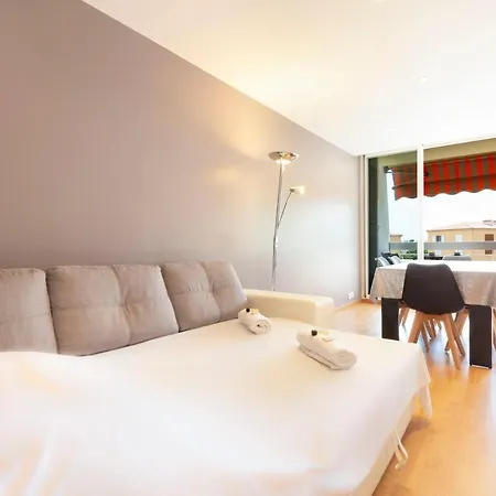 Bnb Renting Spacious 2 Bedroom In Center With A Parking * Antibes